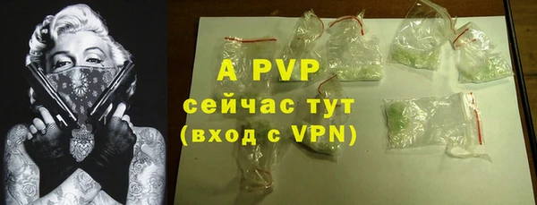 дживик Переславль-Залесский