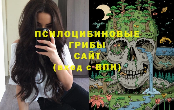 дмт Алексин