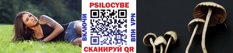 Псилоцибиновые грибы мухоморы  Осинники 